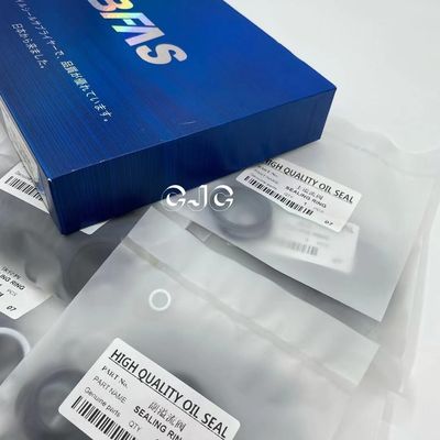 VC imperméable OEM hydraulique de trousse Oil Resistant du joint avec la diverse taille